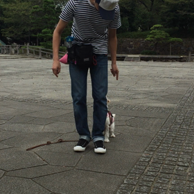 センター好きの画像