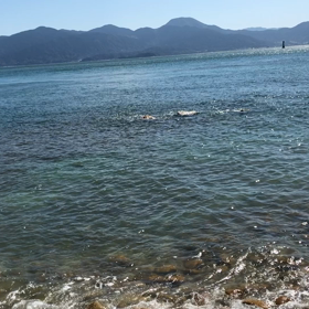 望む方にフォーカスできないのはどうして？の画像