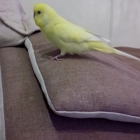 小さな愛のかたまりの画像