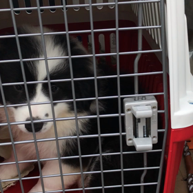 飛行機練習の画像