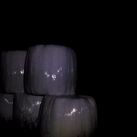 答え：イノシシ対策～誰がどう聞いても。の画像