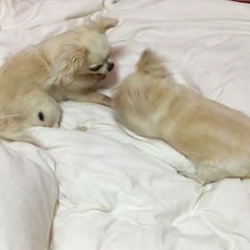 雨の日の恒例行事の画像