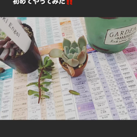 2023/10/26の画像