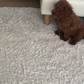 ☆テレビ好きの画像