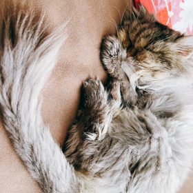 のどかな午前中の画像