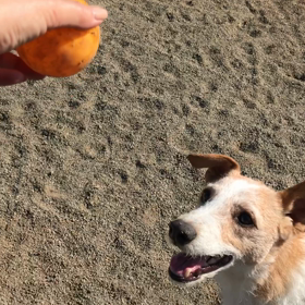 みんなでお散歩 ♬の画像