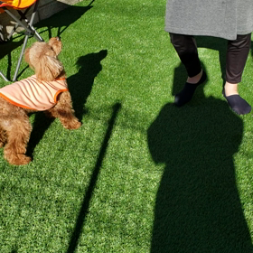 元旦番外編の画像