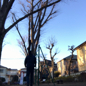上に向かうためには下から上の画像
