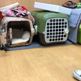 蘭丸編。の画像