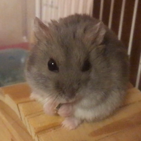 2度目の冬の画像