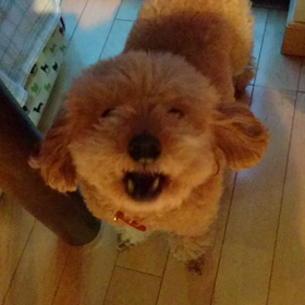 【ドア地蔵❔】の画像