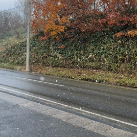 やって来ました！の画像