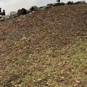 今日も大塚池公園への画像