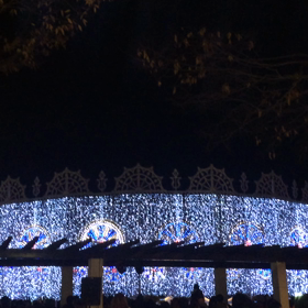 ルミナリエ動画の画像