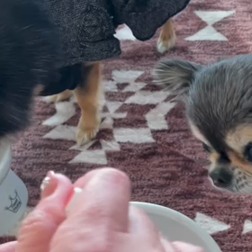 べるの朝ごはんの画像