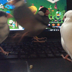 たまり場の画像