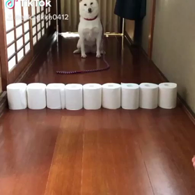 お楽しみ下さいの画像