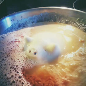 落としぶたの画像