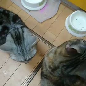 おる(^3^)/番の画像