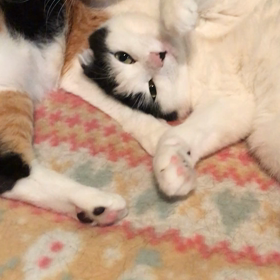 うらやましい〰の画像