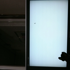 猫に見せる動画の画像