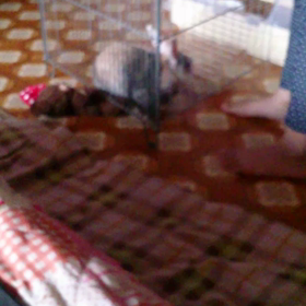 衝撃の瞬間！の画像