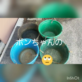 みんなの食べ終わったあと。の画像