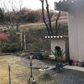 雪の画像