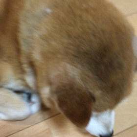 ちょっと前のだけど、、、の画像