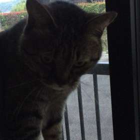 朝ぬりぬりの画像