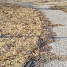 今日のはなちゃん206、モモちゃん162の画像