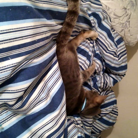 転げ落ちるwwの画像