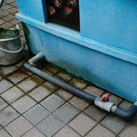 ちょうしうわむきの画像