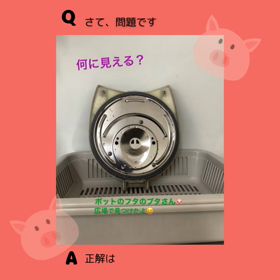 Q  & Aの画像