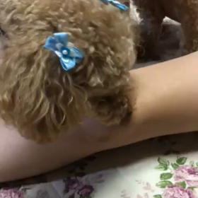 かれこれ…の画像