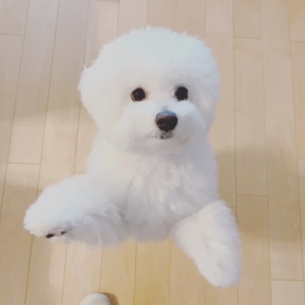 ■両親に孫の動画を〜自粛中も心豊かにの画像