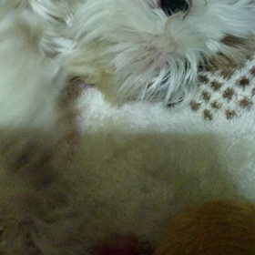 確かに・・・の画像