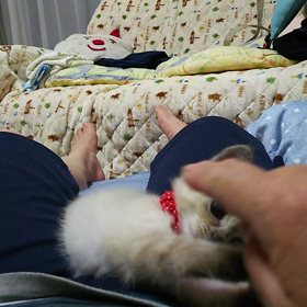 かわい～の画像