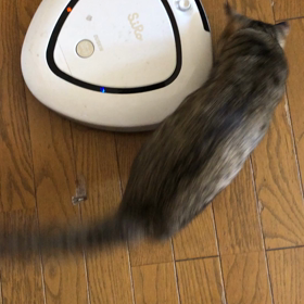 お掃除ロボの画像