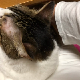 下剤を飲んだら産まれた娘。デールも寝不足な訳。の画像