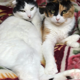 はいはいの画像