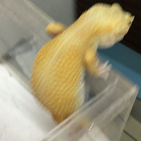 おはようございます✨✨の画像