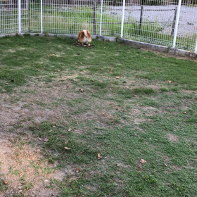 ❤️❤️❤️の画像