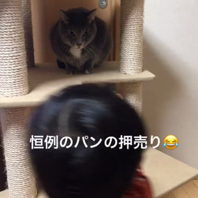 1y4m29d またまた実家の画像