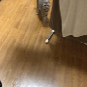 おかえりなさい②の画像