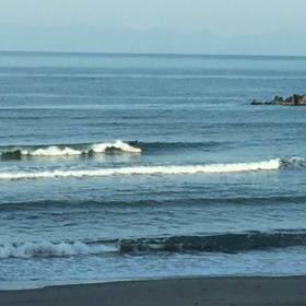 今朝のスネ波 その4の画像