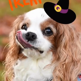 2022/10/31 Happy Halloween!!の画像