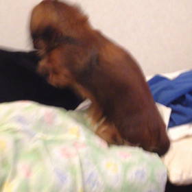 セラピストの画像