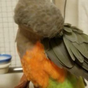 病院のあとの無視(　ＴДＴ)の画像