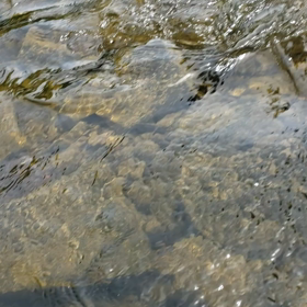 先日の動画の画像